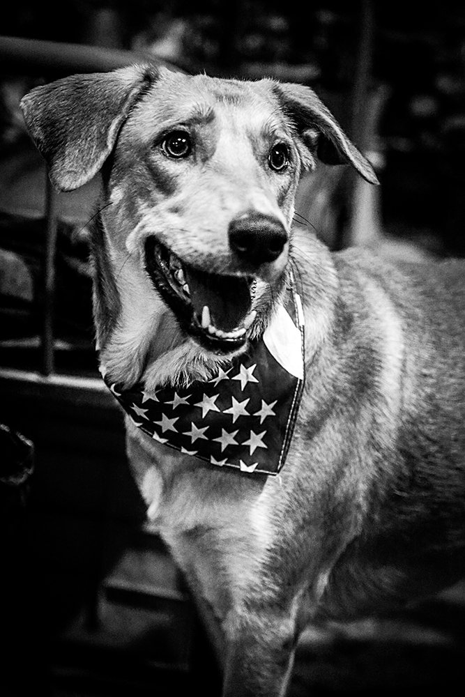 Photograph by tamaddon homayoun