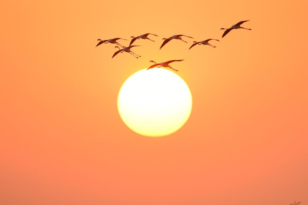 Photograph by Ujwal Pasupuleati