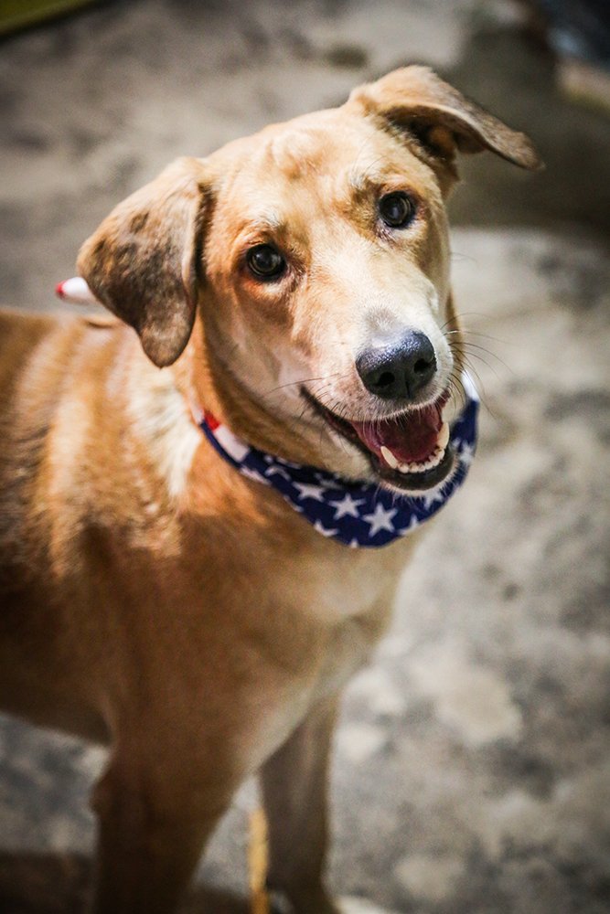 Photograph by tamaddon homayoun