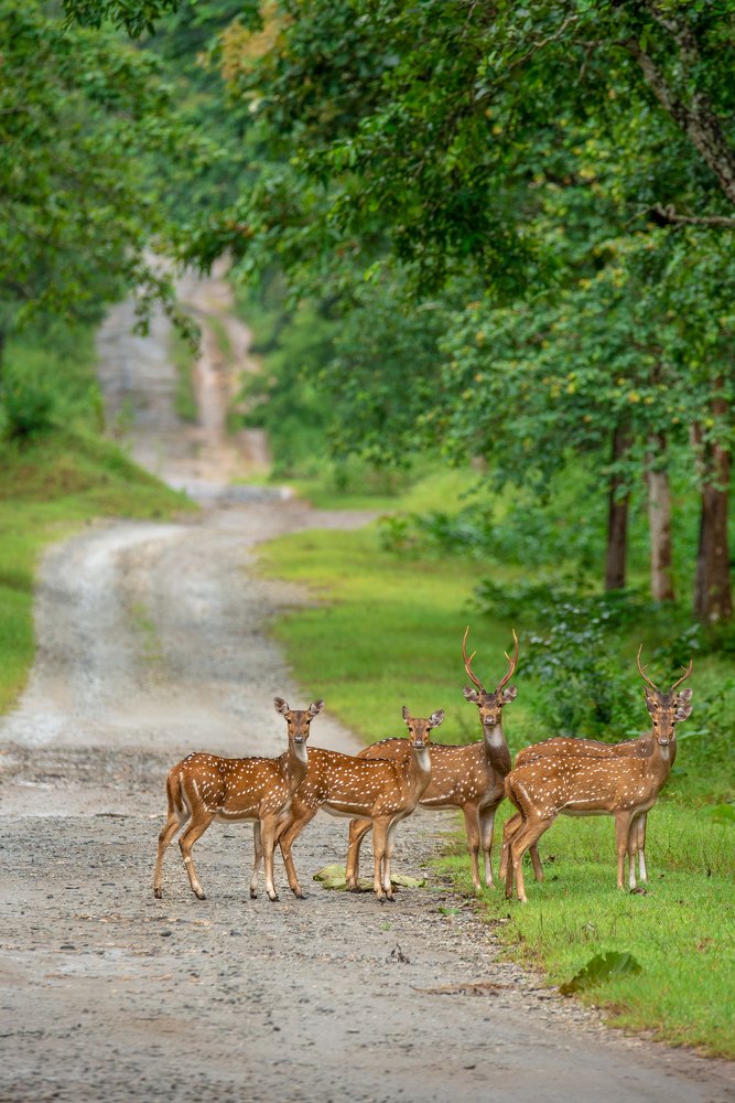 Photograph by Ujwal Pasupuleati