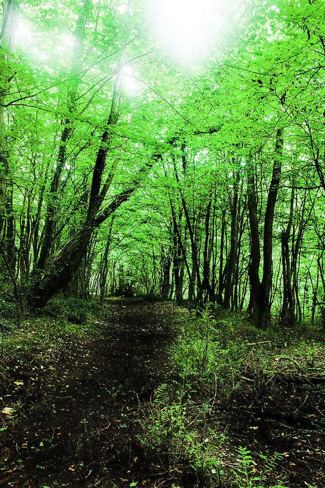 Photograph by tamaddon homayoun