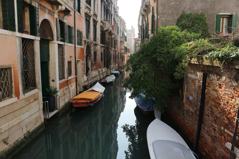 Зеленая улочка