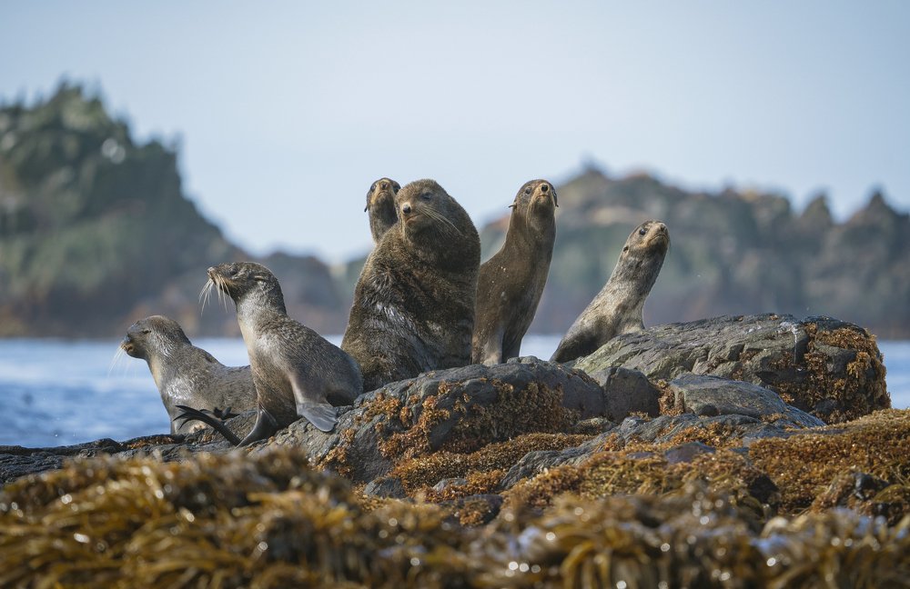 Семейный портрет