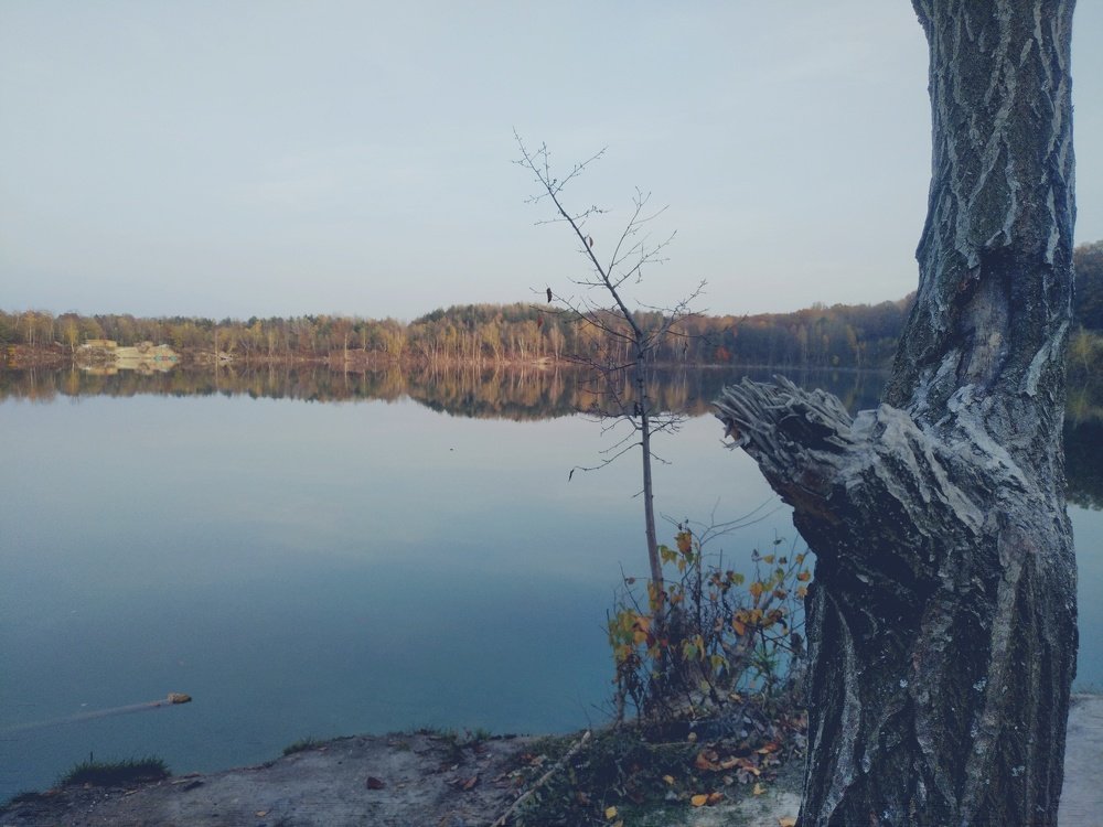 Photograph by Юрий Карач