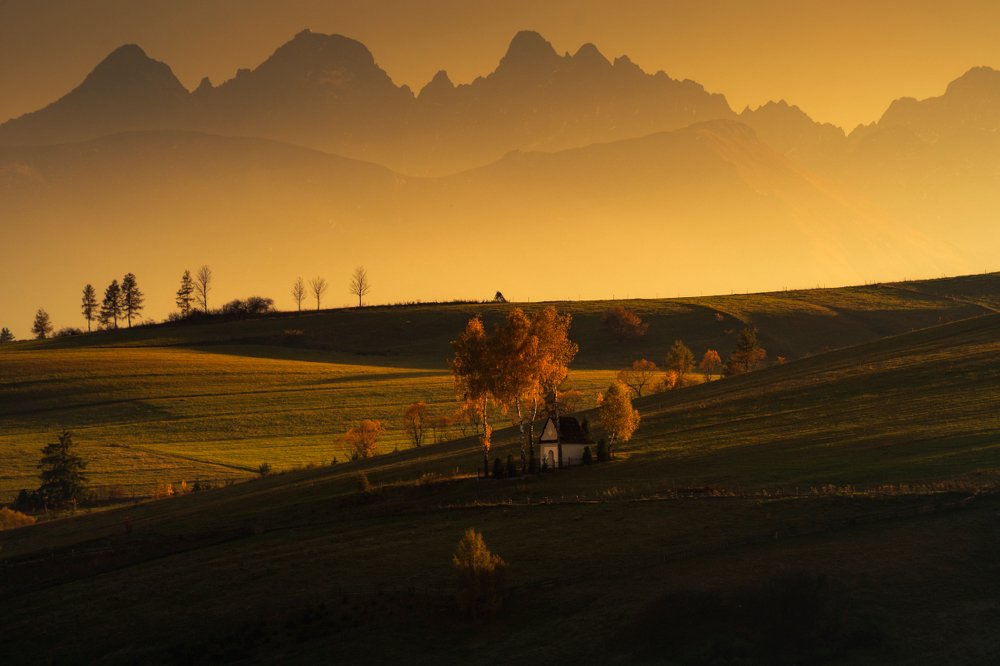 Photograph by Moroń Grzegorz