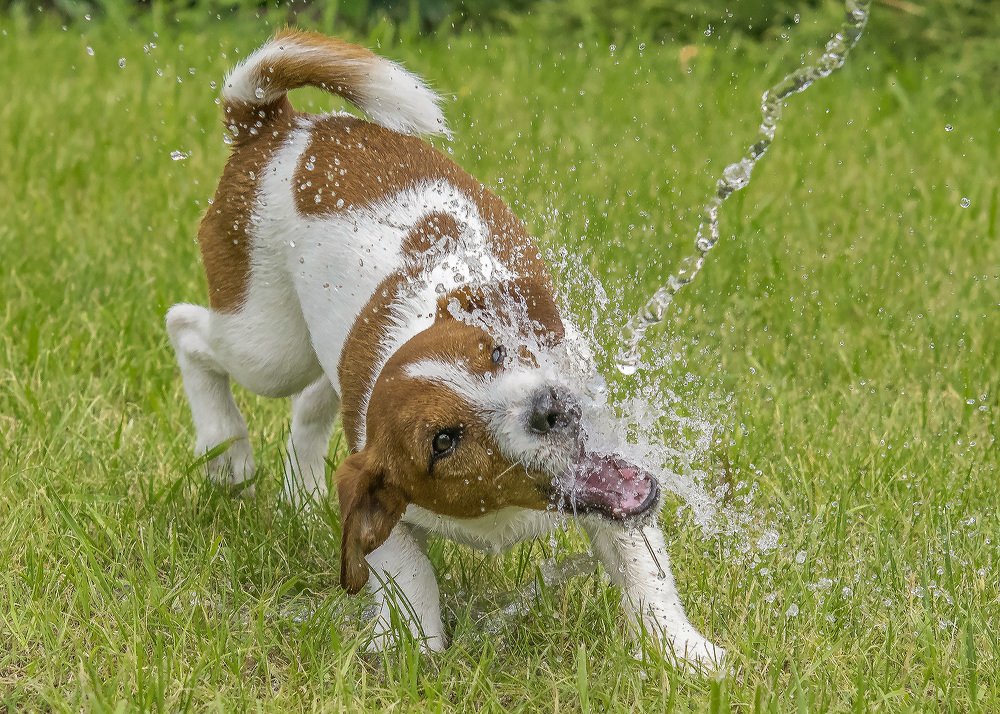 Photograph by Сергей Федоренко