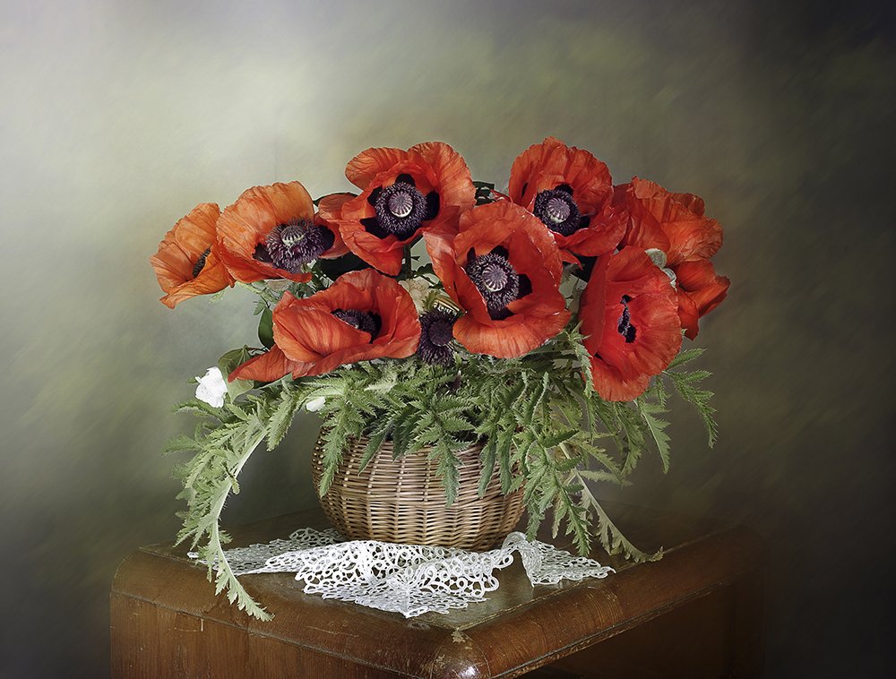 Photograph by Вера  Павлухина