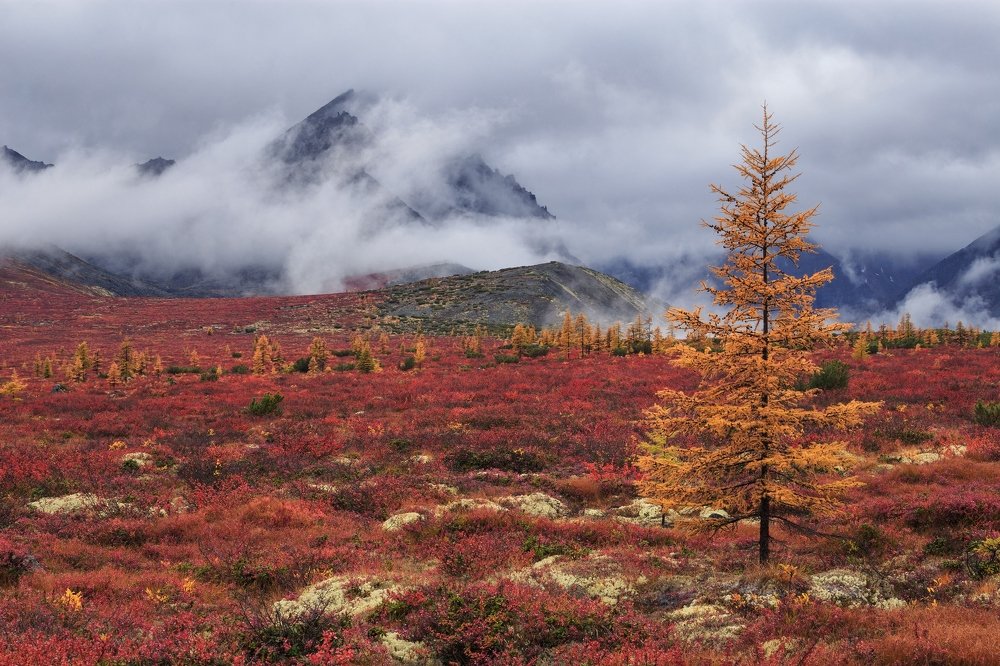 Хмурая осень