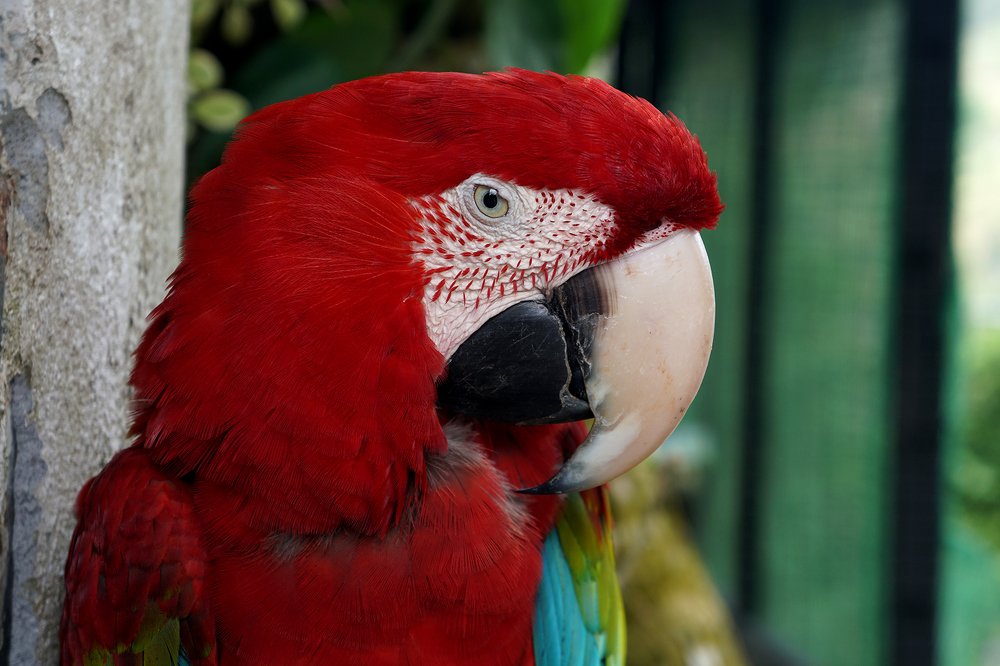 Photograph by Dzianis Mizhui