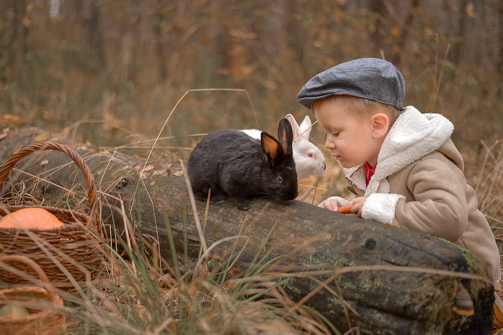 В гостях у братцев-кроликов