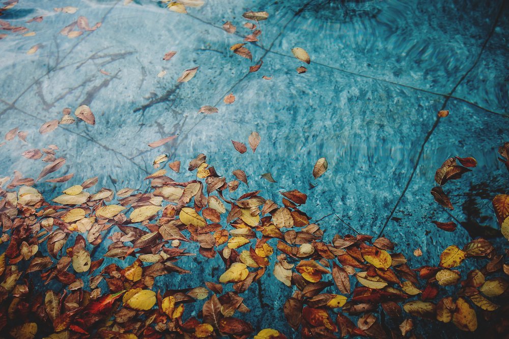 Photograph by Татьяна Пелевина