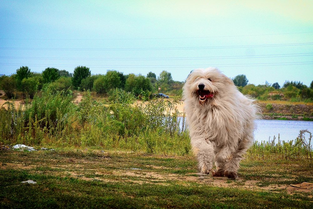 Photograph by Cергей Землянский