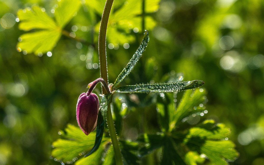 С добрым утром.