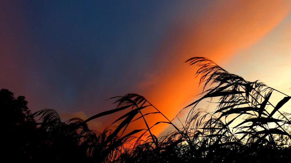 Photograph by Евгений Евдокимов