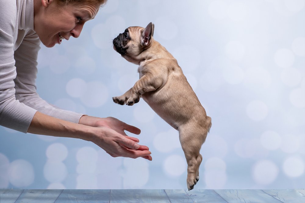 Photograph by OLGA KOVALENKO