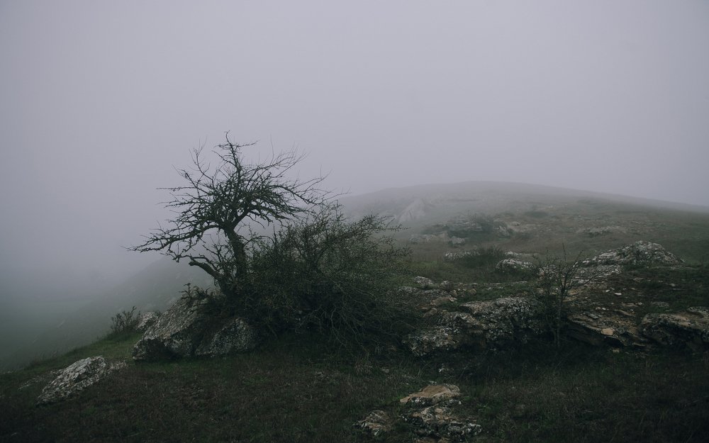 Photograph by Татьяна Пелевина