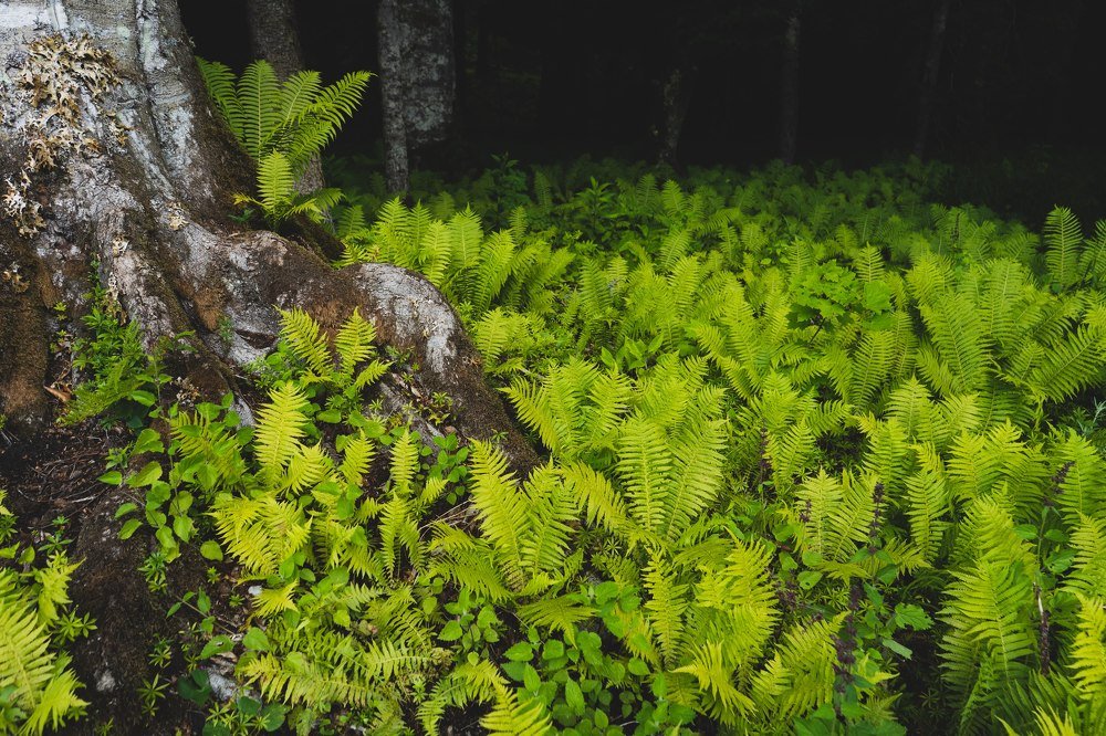 Photograph by Юлия Вьюгина