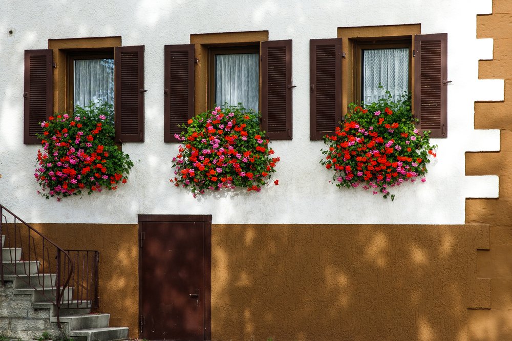 Фотография автора Гудкова Светлана