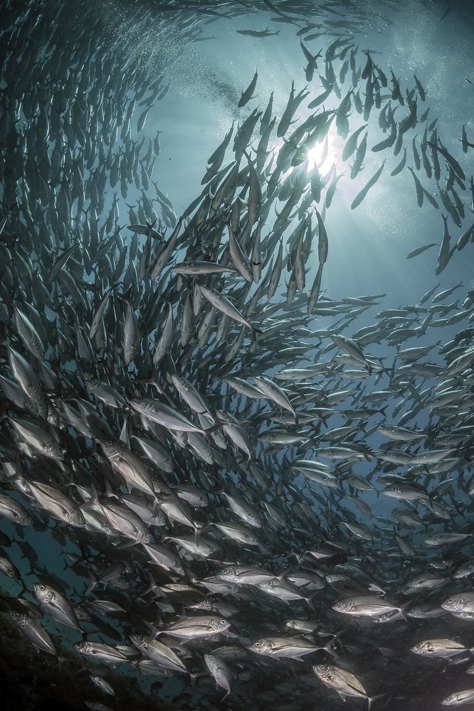 Photograph by Сергей Федоренко