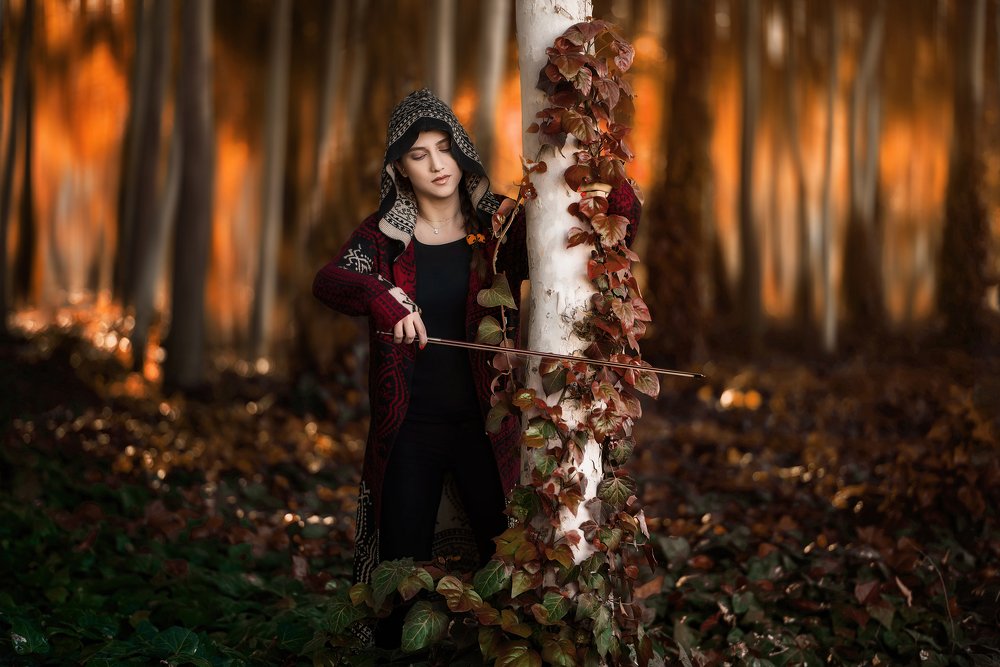 Photograph by  Mehrzad maghsoodian