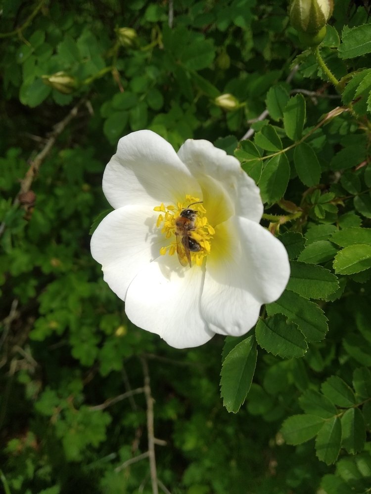Photograph by Лена