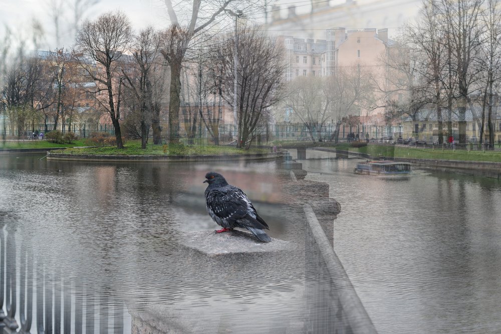 Перечитывая М.Пруста Беглянка