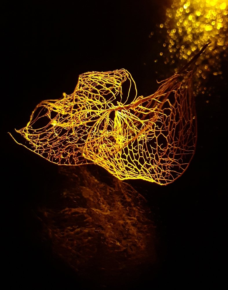 Другое измерение