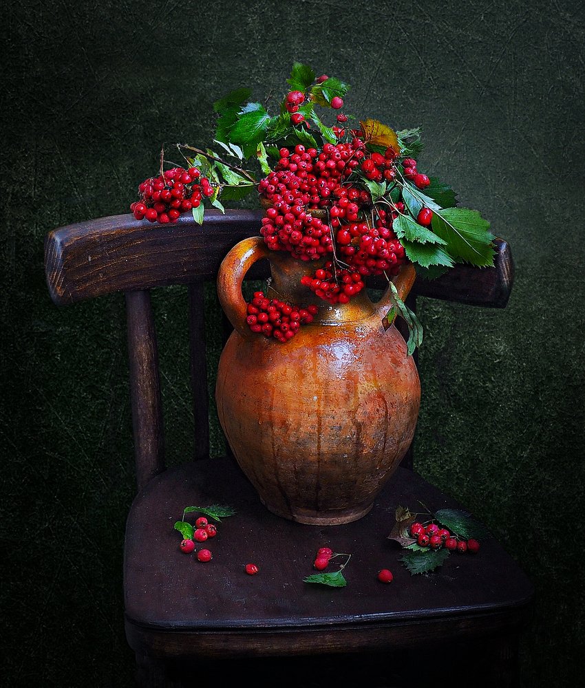 Photograph by Людмила Данько