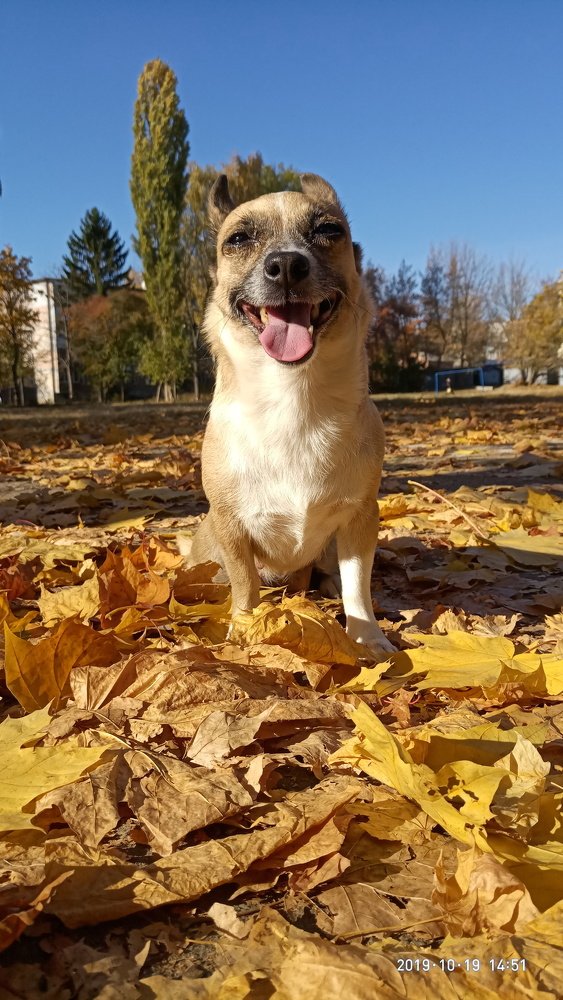 Photograph by Юрий Карач