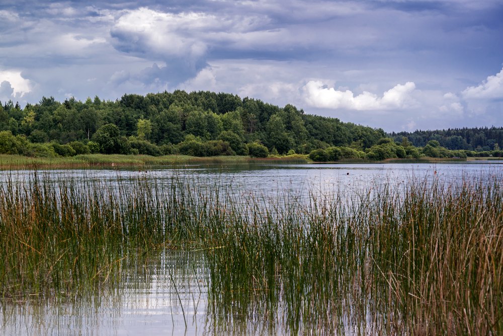 Photograph by Сергей