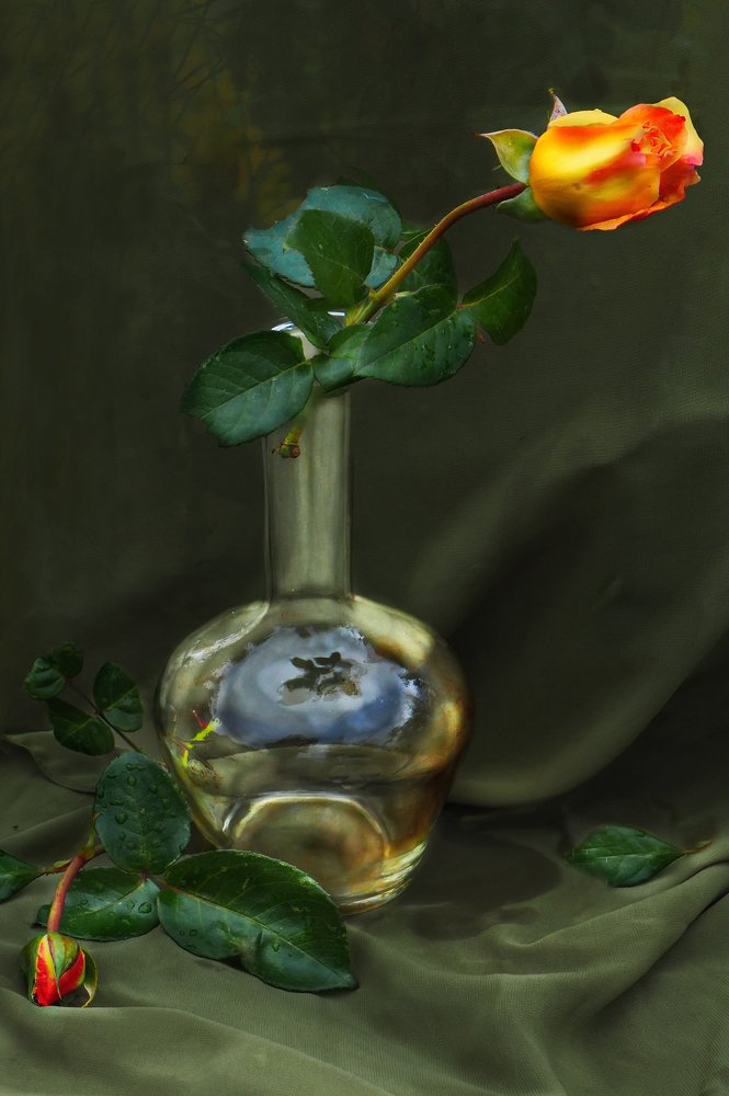 Photograph by Людмила Данько