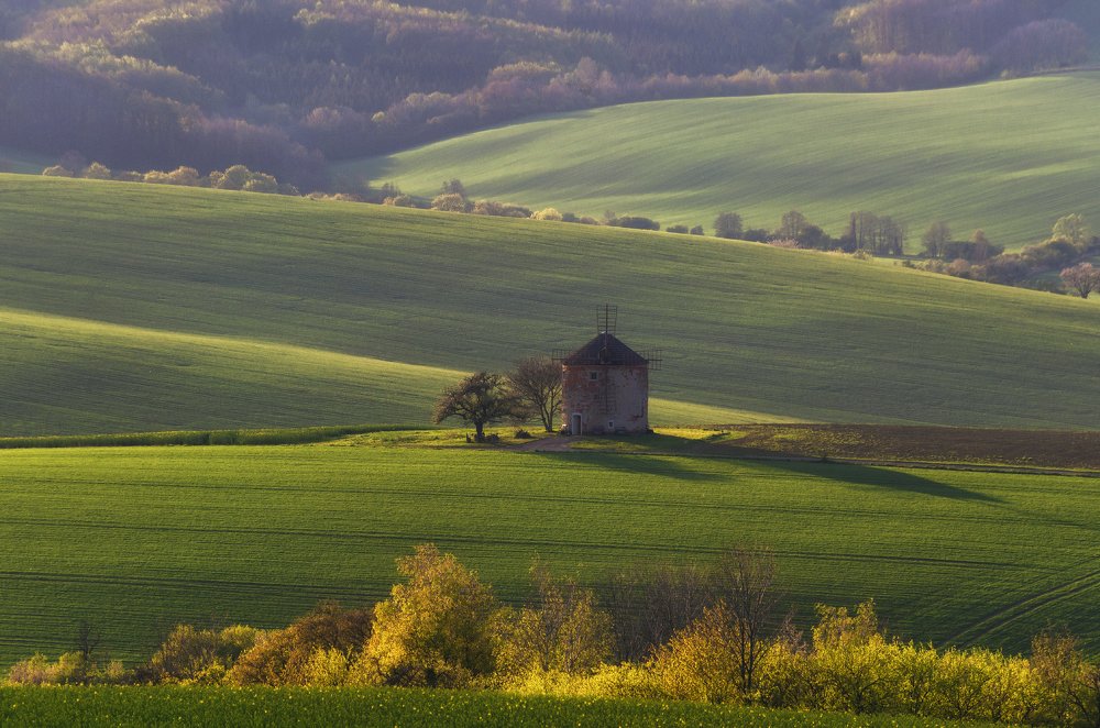 Фотография автора Марина Савчиц