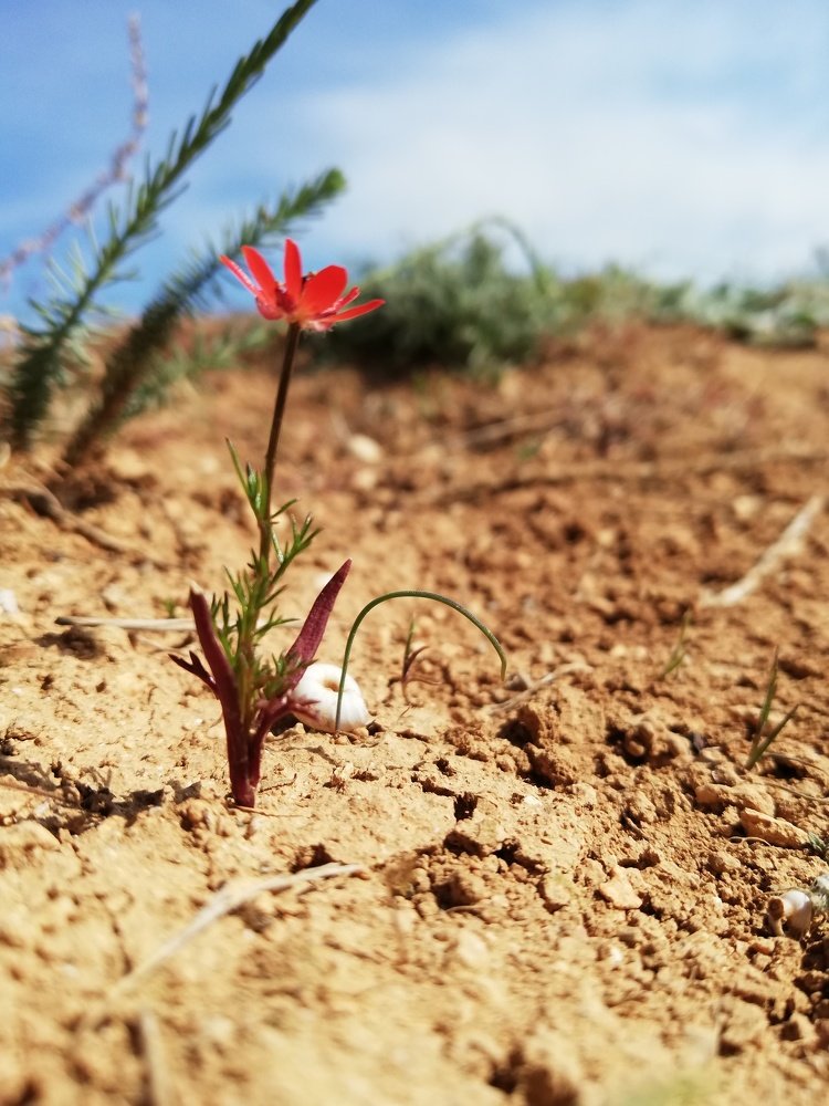 Photograph by Михаил Курихин