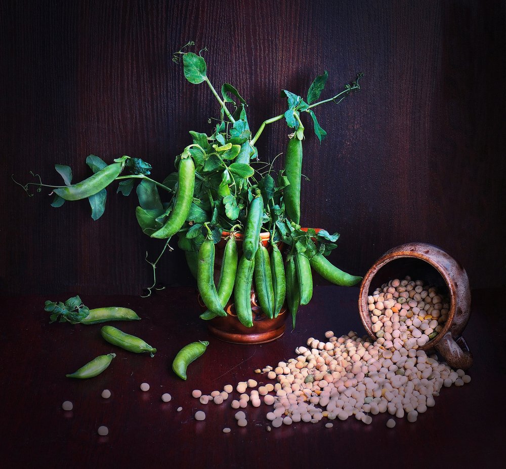 Photograph by Людмила Данько