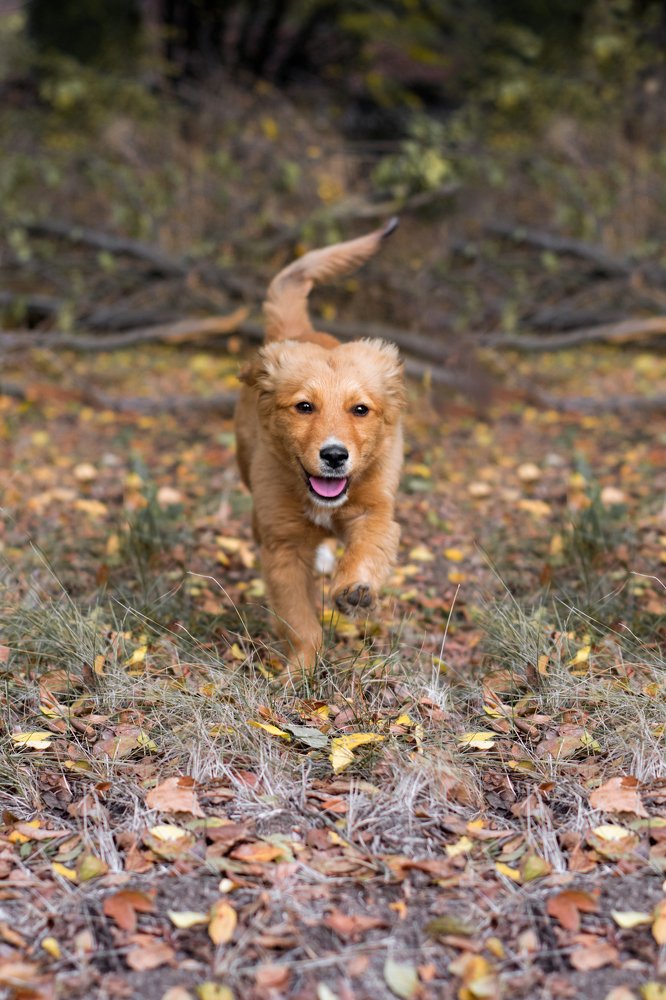 Photograph by Елена Фролова