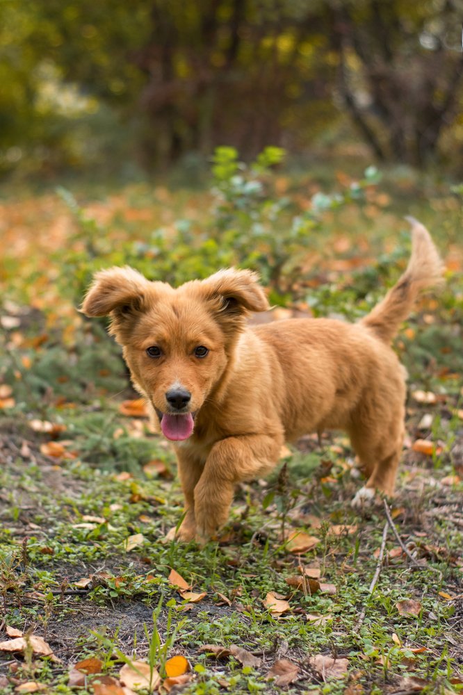 Photograph by Елена Фролова