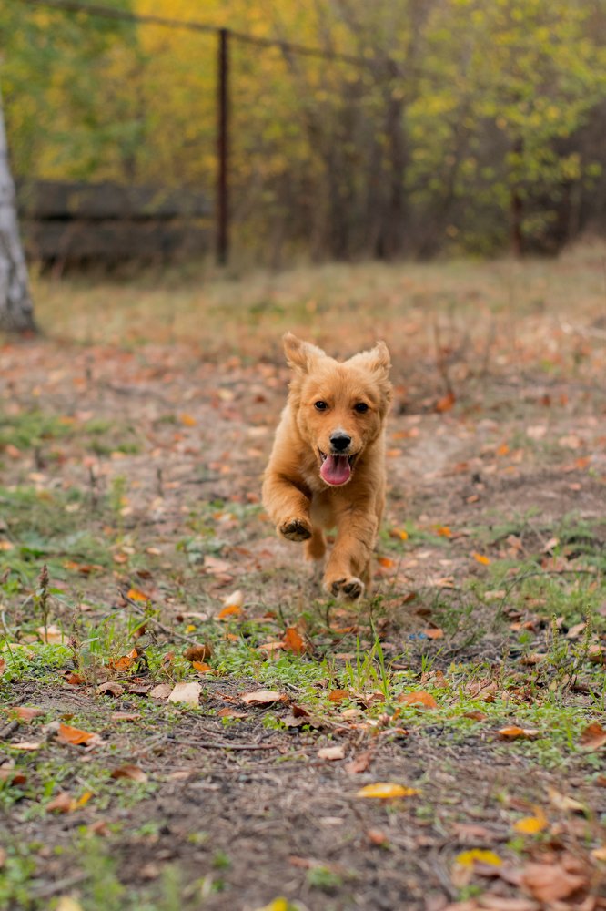 Photograph by Елена Фролова