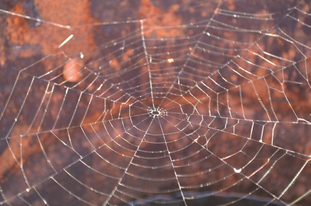 Photograph by Екатерина