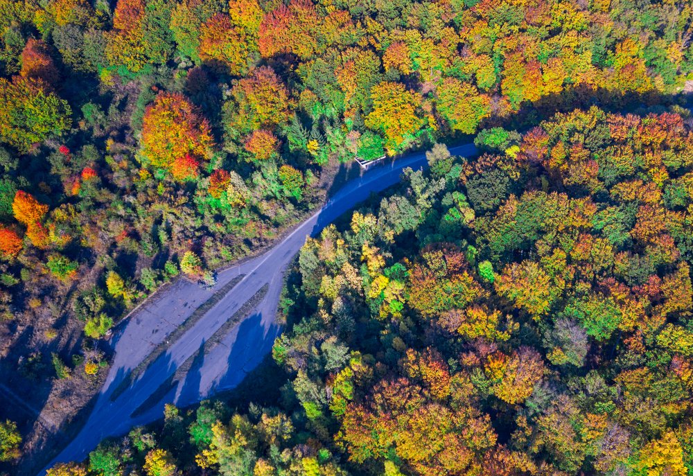 Photograph by vasil kolev