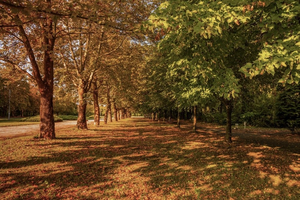 Photograph by vasil kolev