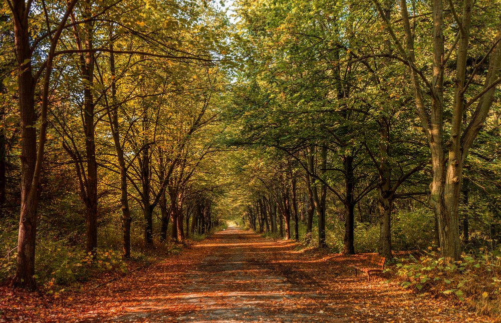 Photograph by vasil kolev