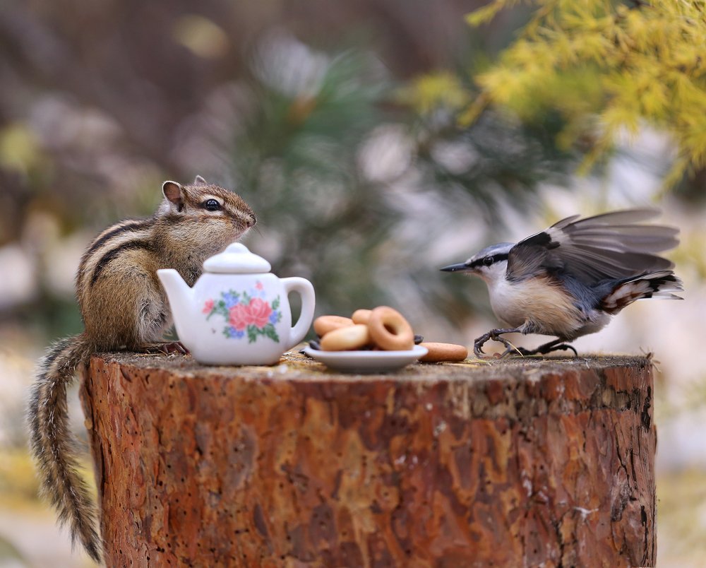 Чай сбубликами