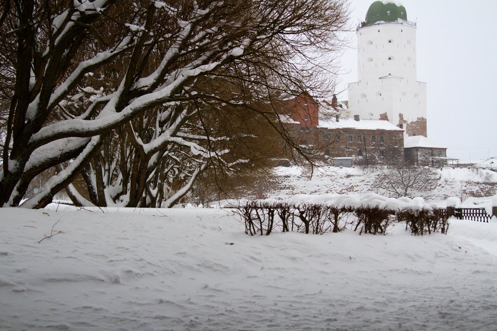 Photograph by Ольга Корчагина