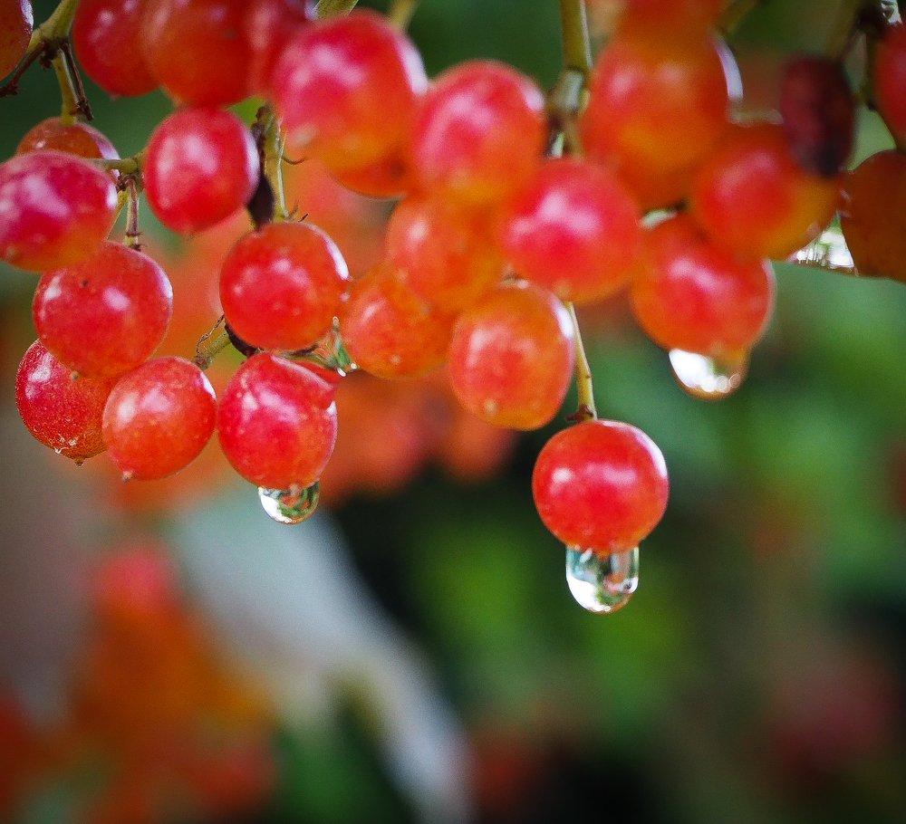 Photograph by Сергей Пермин