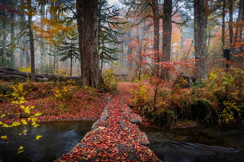 Photograph by Sebastian Rene Graf