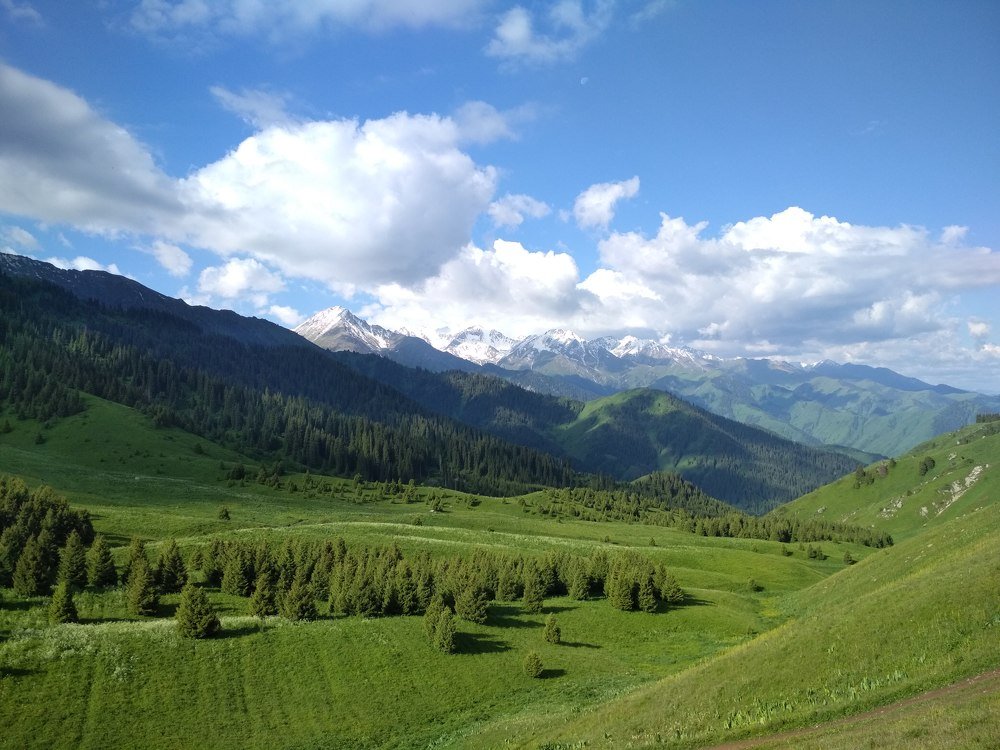 Кок Жайлау