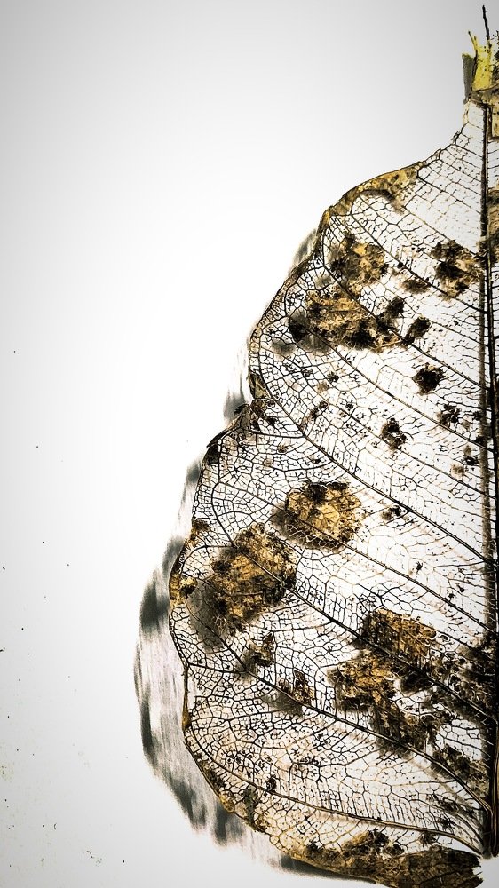 Photograph by Nyonika Rawal