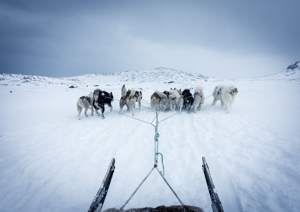 Фотография автора Cristian Dunivicher