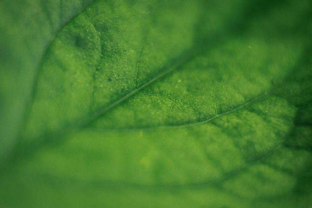 Photograph by Анна Миллер