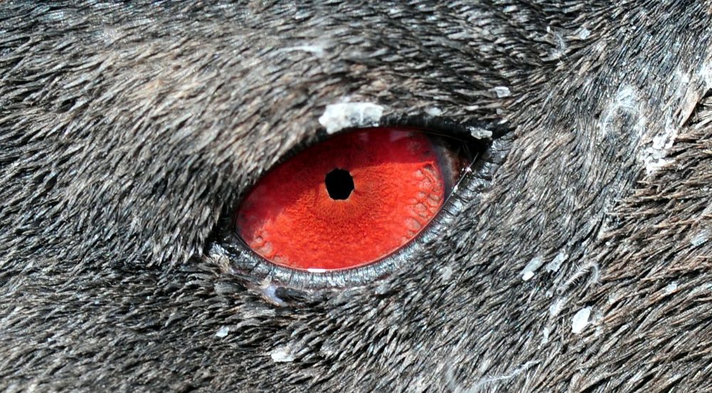 Photograph by SI SABER LOTFI